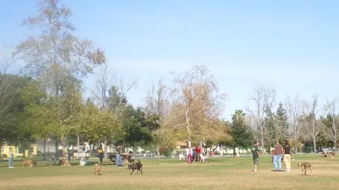 Dogs and owners at the Sepulveda Basin Off-Leash Dog Park in Los Angeles