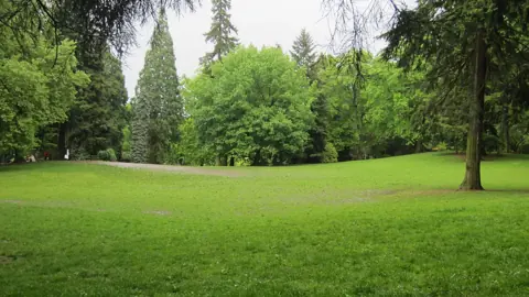 The grassy bowl used as the off-leash area at Laurelhurst Park, Portland